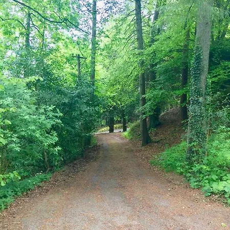 Ferienhaus Woodhaven - Luxury 4 Bedroom Rural Retreat With Hot Tub Near To District